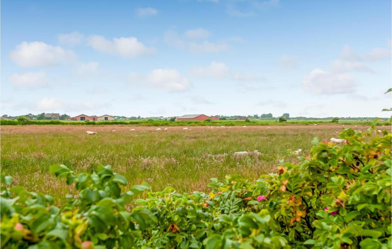 Stunning Home In Ribe With Wifi Kültér fotó
